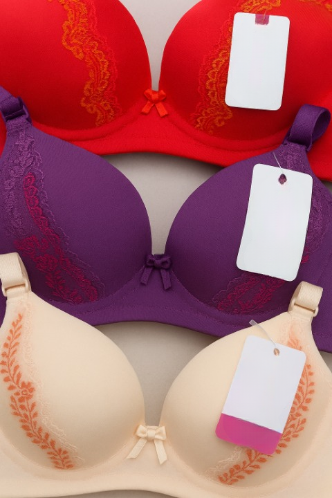 Silk Embroidered Padded Bra for Women – Luxury Undergarment with Soft Silk Fabric, Stylish Embroidery, Comfortable Fit & Everyday Support
